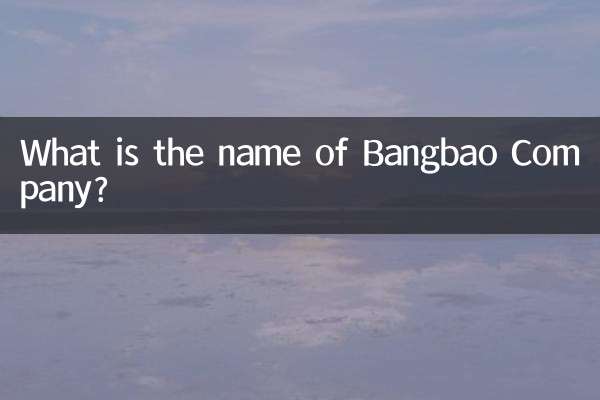 邦寶公司叫什麼