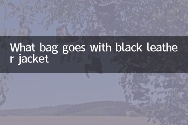 ¿Qué bolso va con una chaqueta de cuero negra?