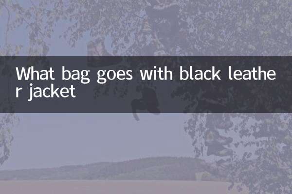 काली चमड़े की जैकेट के साथ कौन सा बैग अच्छा लगता है?
