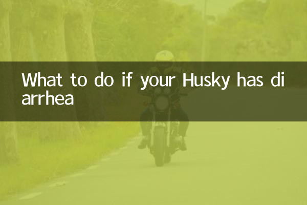 Что делать, если у хаски понос