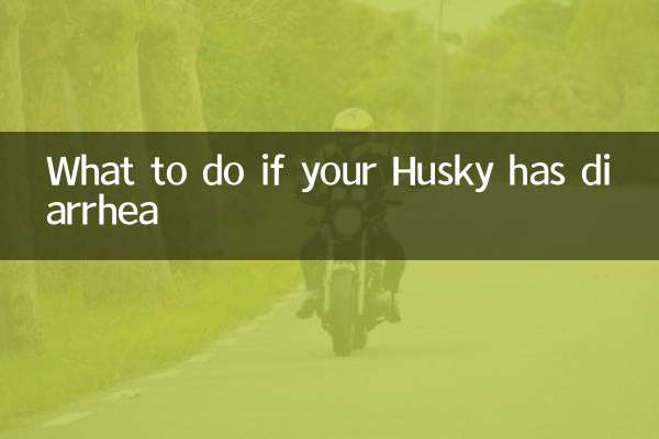 ماذا تفعل إذا كان الهاسكي يعاني من الإسهال