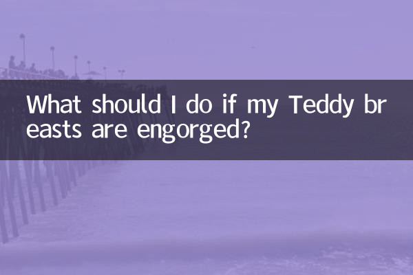 ماذا تفعل إذا كان ثديي تيدي محتقنين؟