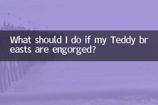 Cosa fare se il seno di Teddy è gonfio