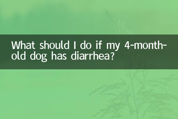 Что делать, если у моей 4-месячной собаки понос?