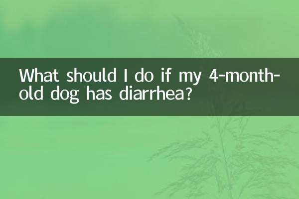 O que devo fazer se meu cachorro de 4 meses estiver com diarreia?