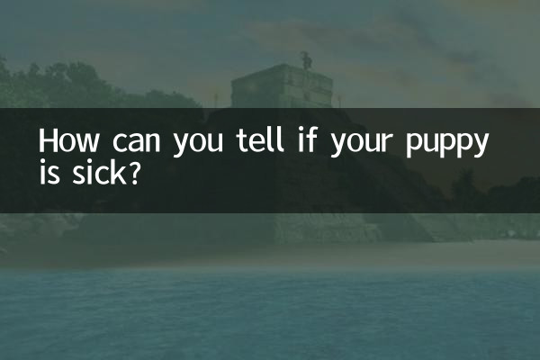 子犬が病気かどうかはどうやって判断できますか?