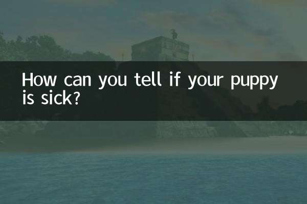 子犬が病気かどうかはどうやって判断できますか?