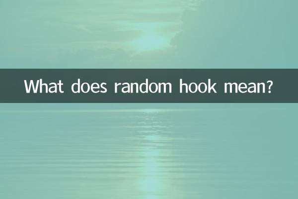 ランダムフックとはどういう意味ですか?