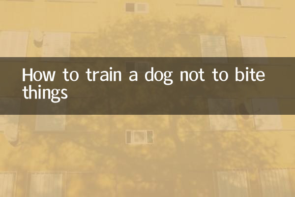 犬に物を噛まないようにしつける方法