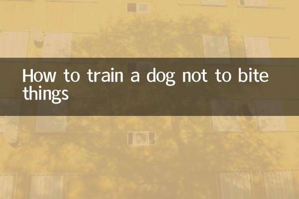犬に物を噛まないようにしつける方法