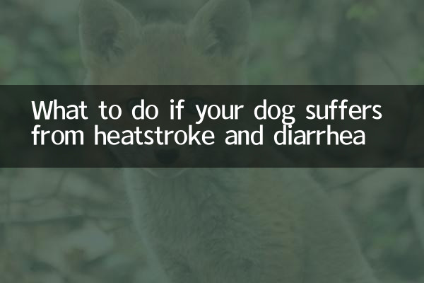 यदि आपका कुत्ता हीटस्ट्रोक और दस्त से पीड़ित है तो क्या करें?