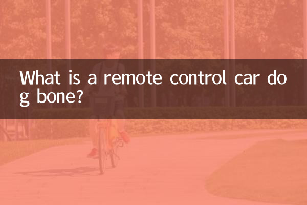 रिमोट कंट्रोल कार कुत्ते की हड्डी क्या है?