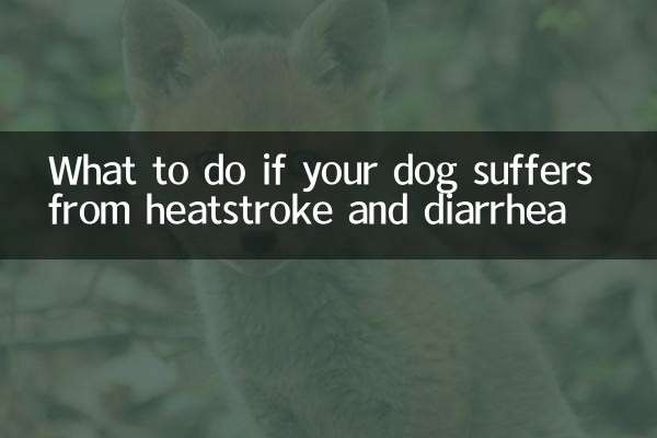 यदि आपका कुत्ता हीटस्ट्रोक और दस्त से पीड़ित है तो क्या करें?