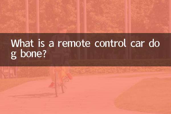 रिमोट कंट्रोल कार कुत्ते की हड्डी क्या है?