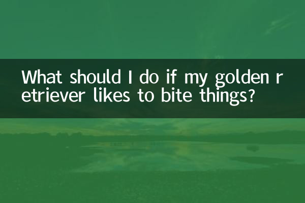 ゴールデンレトリバーが物を噛むのが好きな場合はどうすればよいですか?