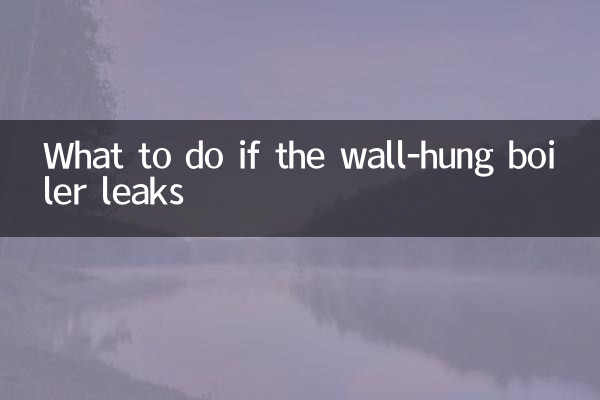 What to do if the wall-hung boiler leaks
