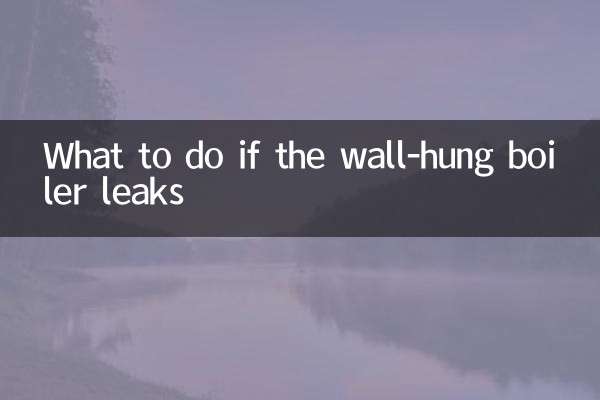 What to do if the wall-hung boiler leaks