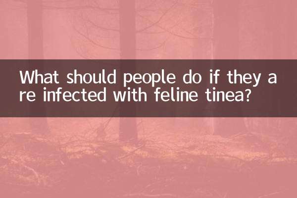 ¿Qué deben hacer las personas si están infectadas con tiña felina?