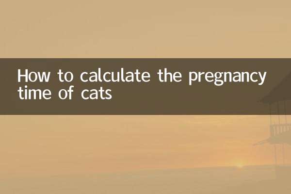 How to calculate the pregnancy time of cats