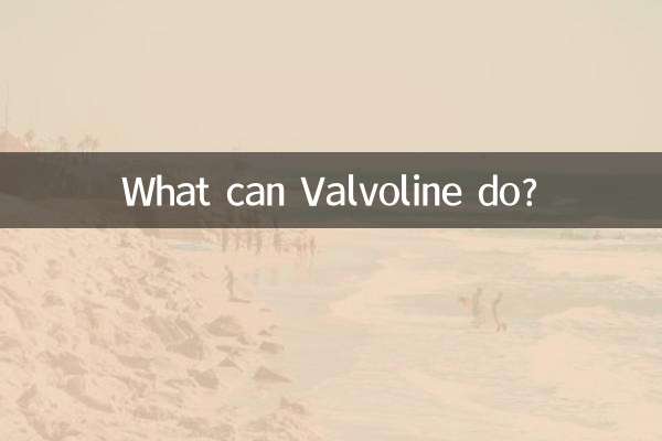 Valvoline은 무엇을 할 수 있나요?