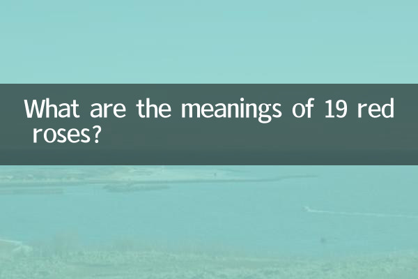 19 लाल गुलाबों का क्या मतलब है?