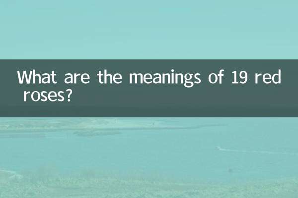 19朵紅玫瑰花語是什麼