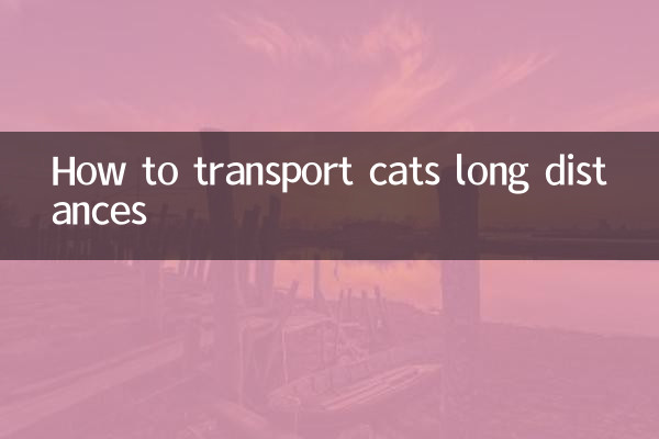 نحوه حمل و نقل گربه ها در مسافت های طولانی