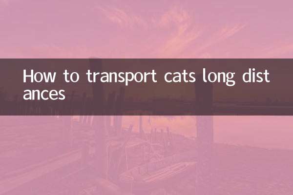 نحوه حمل و نقل گربه ها در مسافت های طولانی