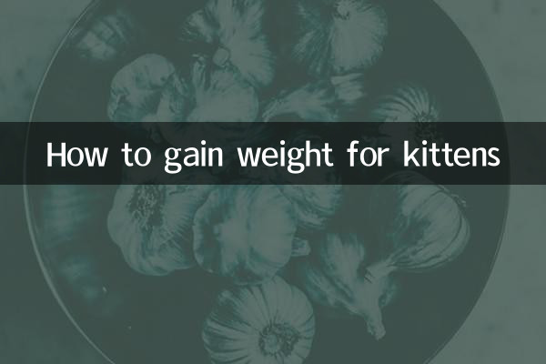 كيفية زيادة الوزن للقطط