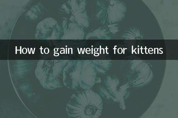 كيفية زيادة الوزن للقطط