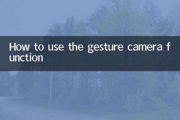 जेस्चर कैमरा फ़ंक्शन का उपयोग कैसे करें