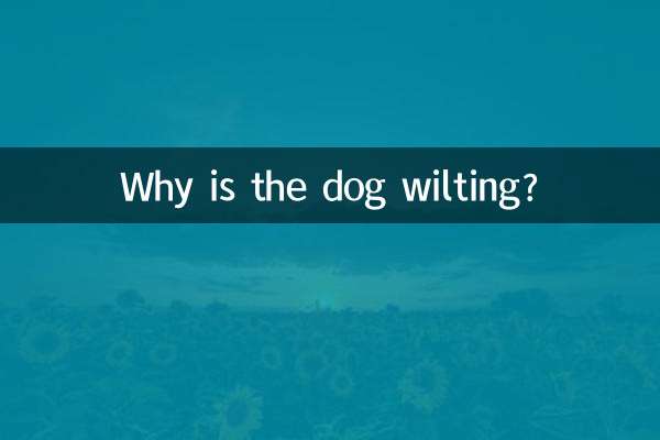 なぜ犬はしおれてしまうのでしょうか？