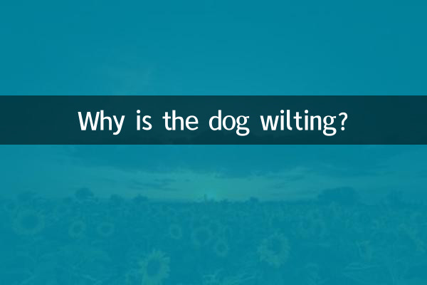 Pourquoi le chien fane-t-il ?