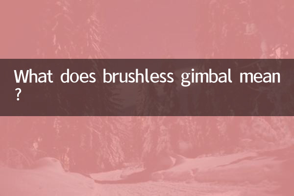 Was bedeutet bürstenloser Gimbal?