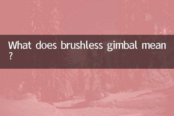 Was bedeutet bürstenloser Gimbal?