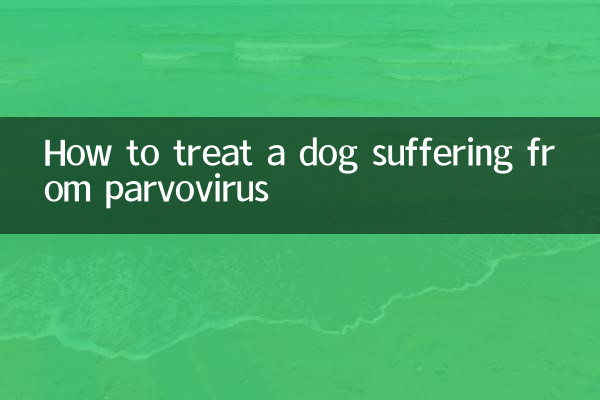 パルボウイルスに感染した犬の治療方法