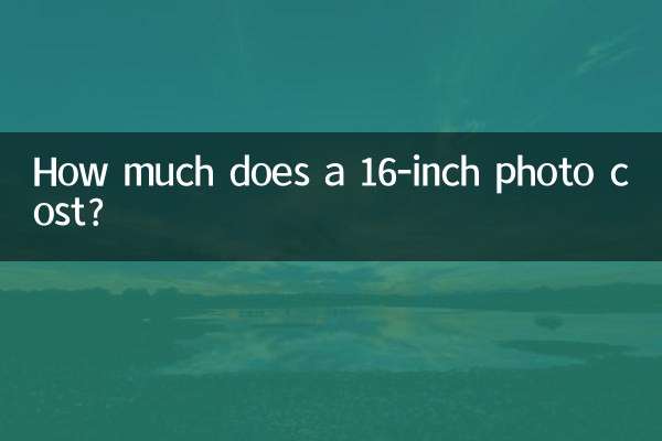 16 انچ کی تصویر کی قیمت کتنی ہے؟