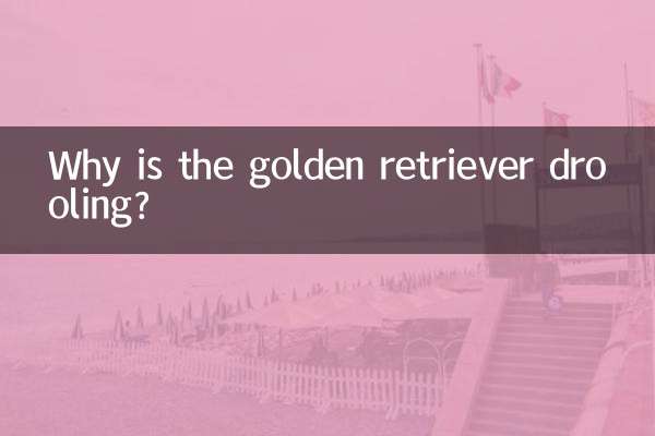 गोल्डन रिट्रीवर लार क्यों टपका रहा है?