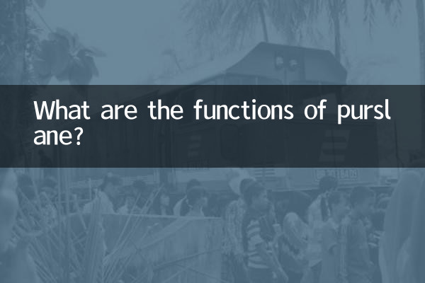 쇠비름의 기능은 무엇입니까?
