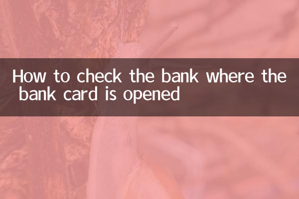 Come controllare la banca in cui è stata aperta la carta bancaria