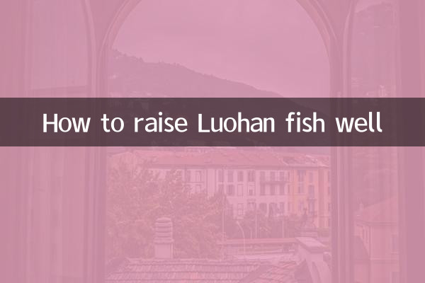 How to raise Luohan fish well