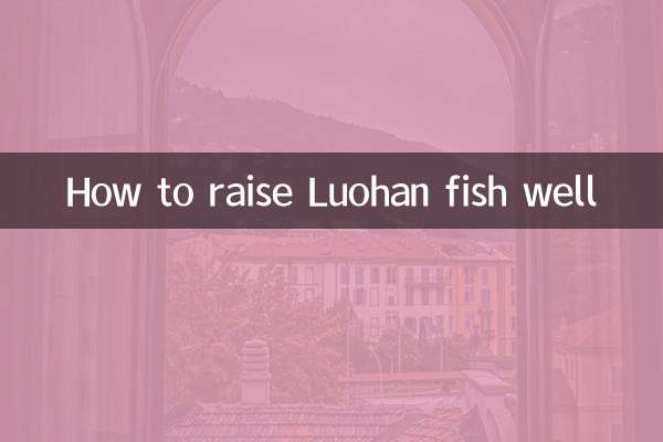 How to raise Luohan fish well