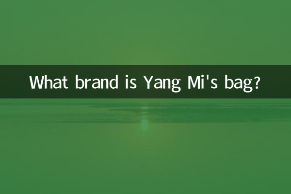 De quelle marque est le sac de Yang Mi ?