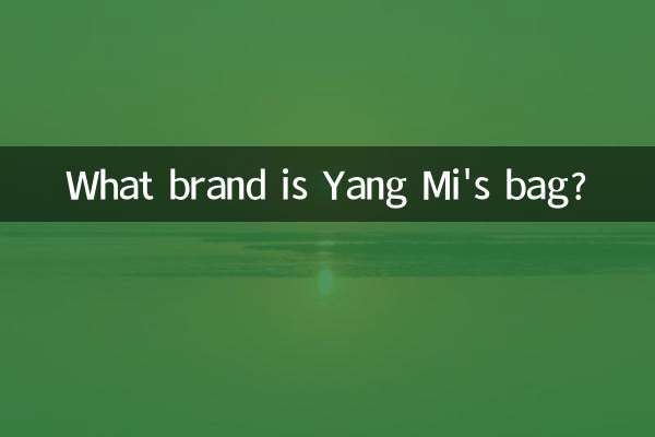 یانگ ایم آئی کا بیگ کون سا برانڈ ہے؟