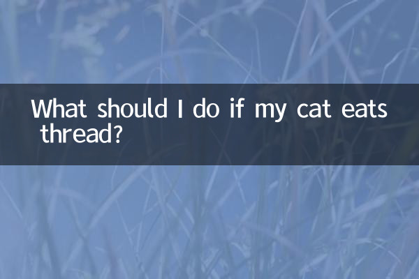 اگر گربه من نخ بخورد چه کار کنم؟