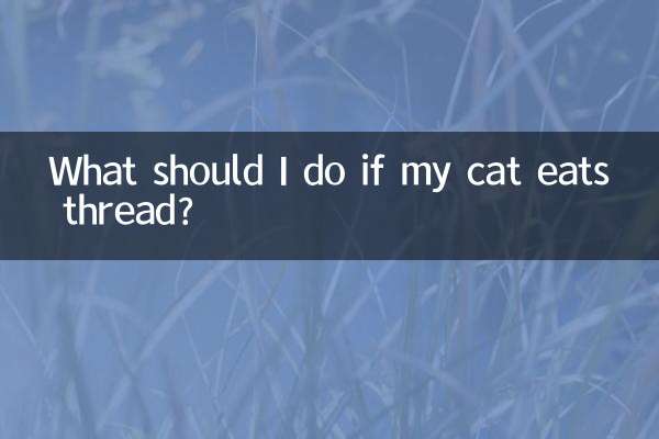 猫吃线了怎么办