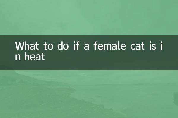 What to do if a female cat is in heat