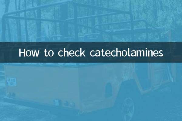 How to check catecholamines