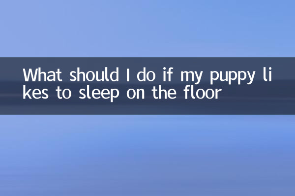 Que dois-je faire si mon chiot aime dormir sur le sol