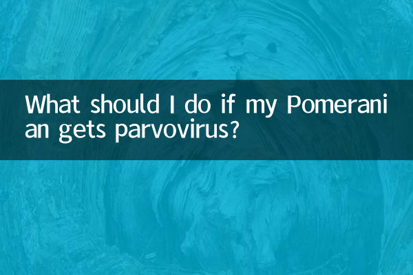 ¿Qué debo hacer si mi pomerania contrae parvovirus?